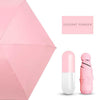 Windproof Pocket Umbrella - Capsule